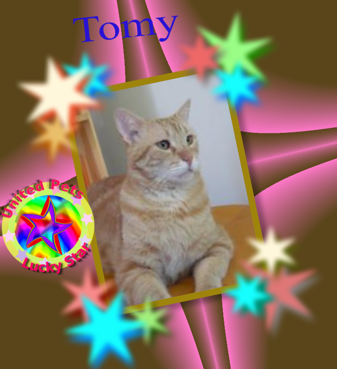 ElianaCT uploaded   32  day/s  ago