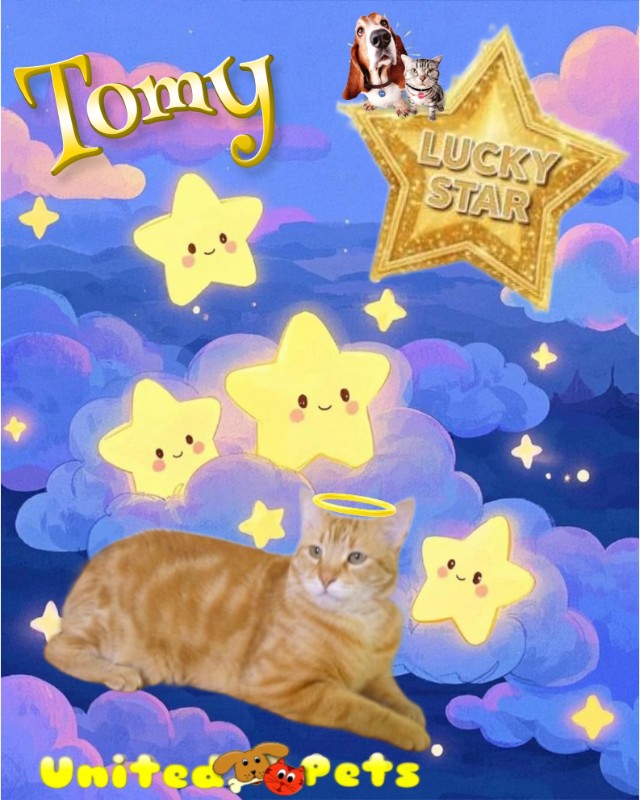 ElianaCT uploaded   30  day/s  ago