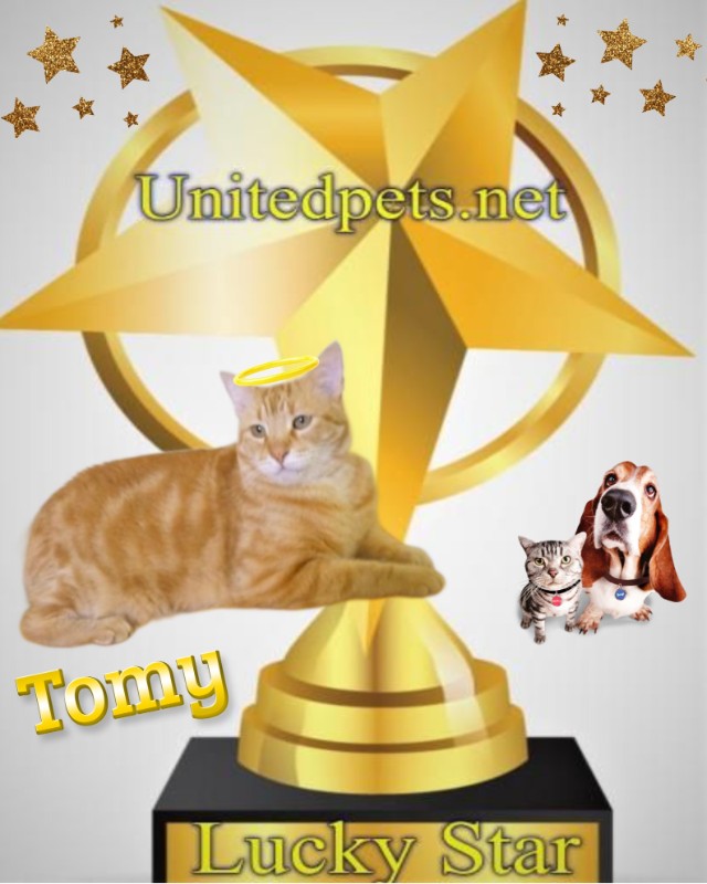 ElianaCT uploaded   34  day/s  ago