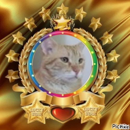 ElianaCT uploaded   36  day/s  ago