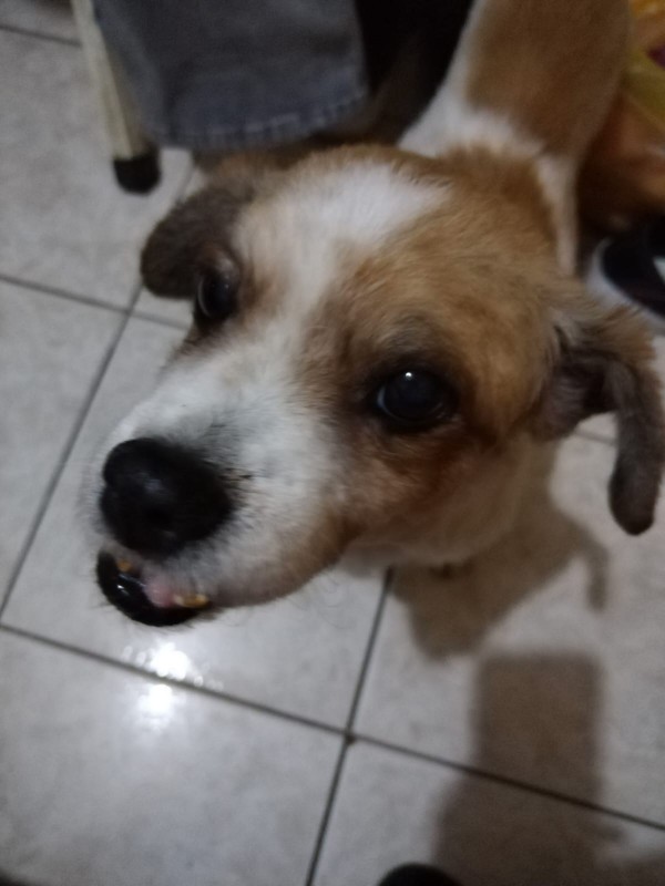 ElianaCT uploaded   199  day/s  ago