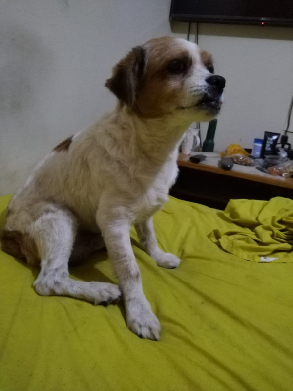 ElianaCT uploaded   199  day/s  ago