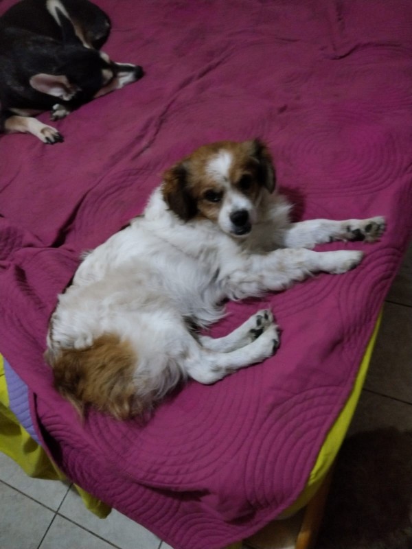 ElianaCT uploaded   199  day/s  ago