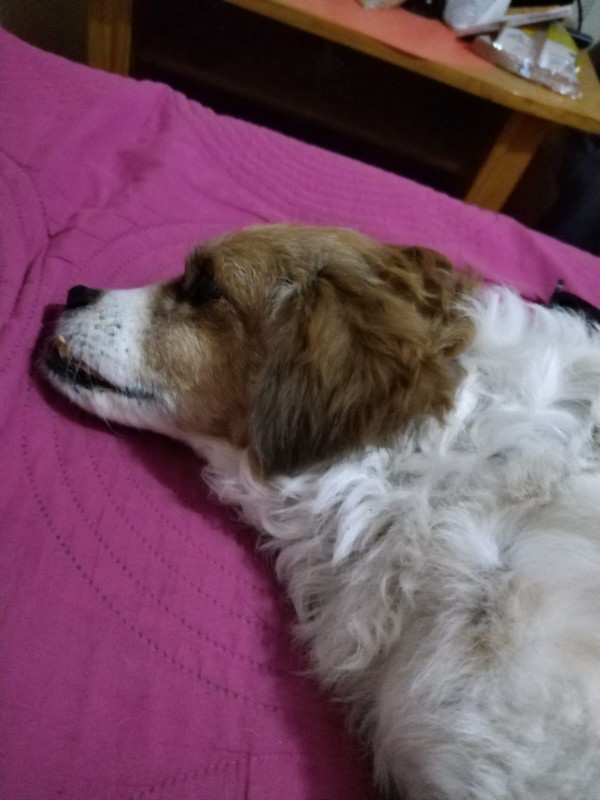 ElianaCT uploaded   199  day/s  ago