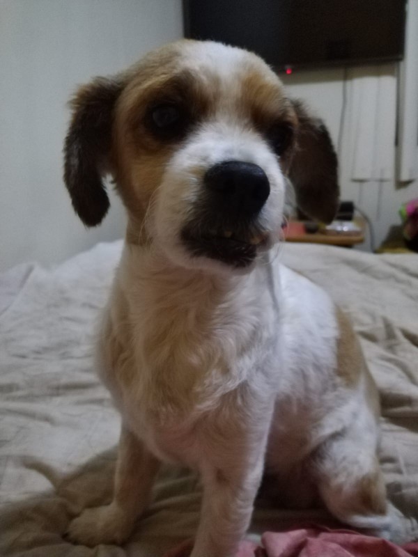 ElianaCT uploaded   199  day/s  ago