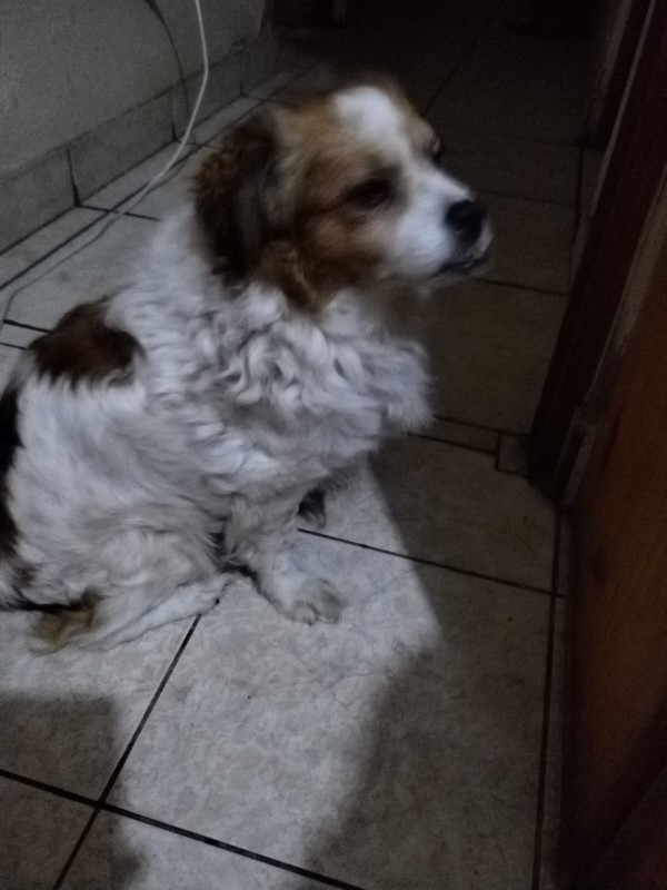 ElianaCT uploaded   199  day/s  ago