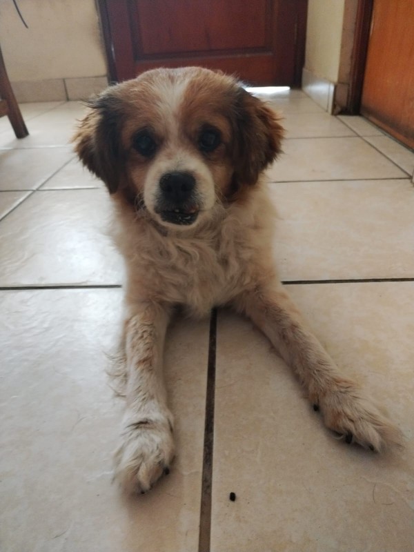 ElianaCT uploaded   199  day/s  ago