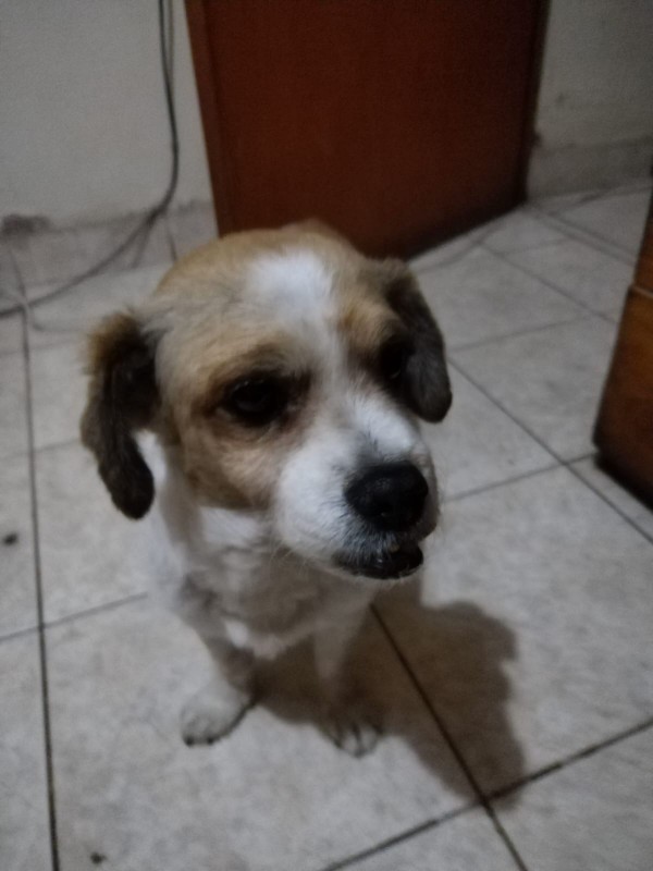 ElianaCT uploaded   199  day/s  ago