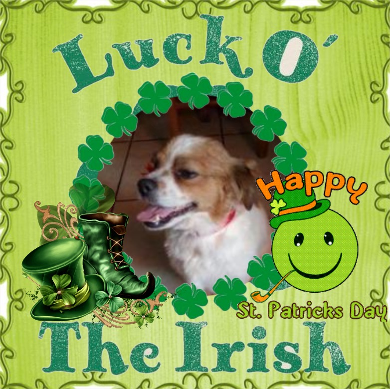 ElianaCT uploaded   45  day/s  ago