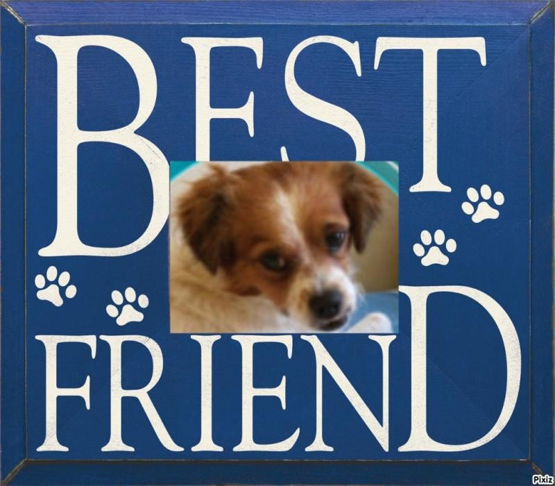 Chimuelo of the ElianaCT family