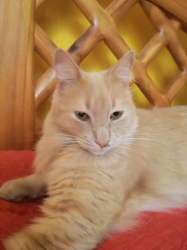 ElianaCT uploaded   4 year/s ago