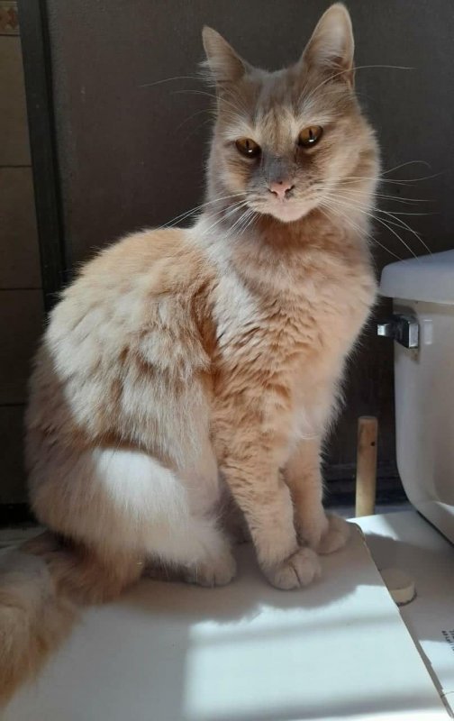 ElianaCT uploaded   4 year/s ago