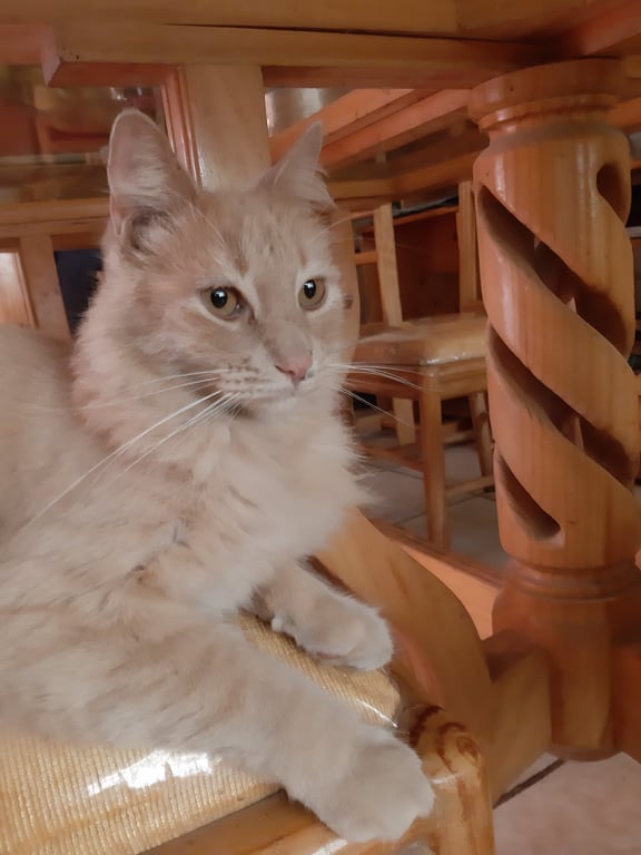 ElianaCT uploaded   4 year/s ago