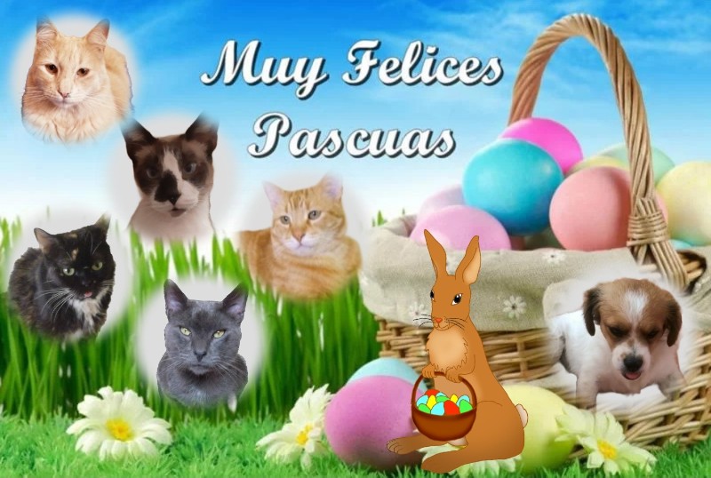 ElianaCT uploaded   7  day/s  ago