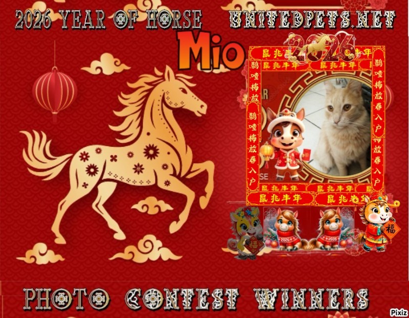 Mío of the ElianaCT family