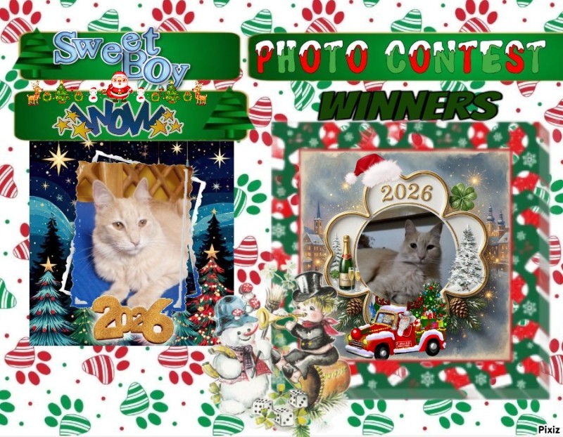 Mío of the ElianaCT family