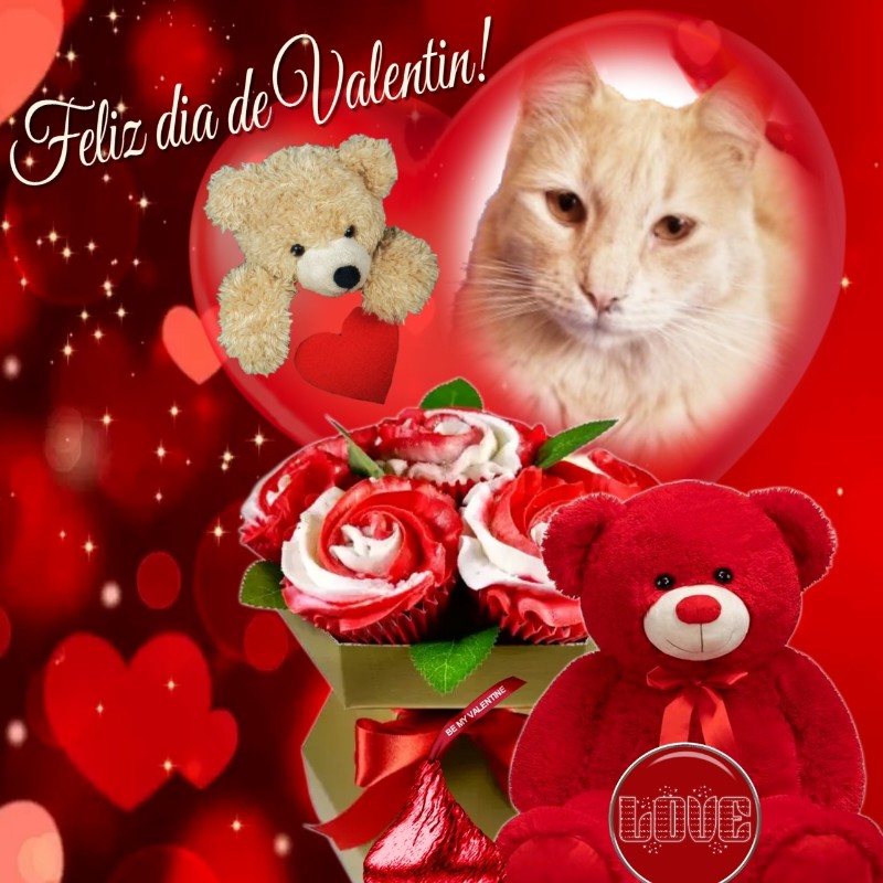 Mío of the ElianaCT family