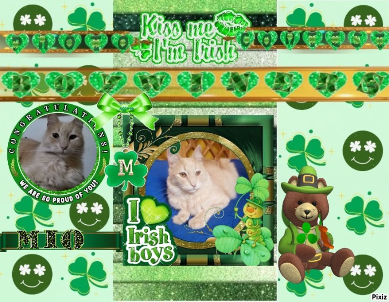 Mío of the ElianaCT family