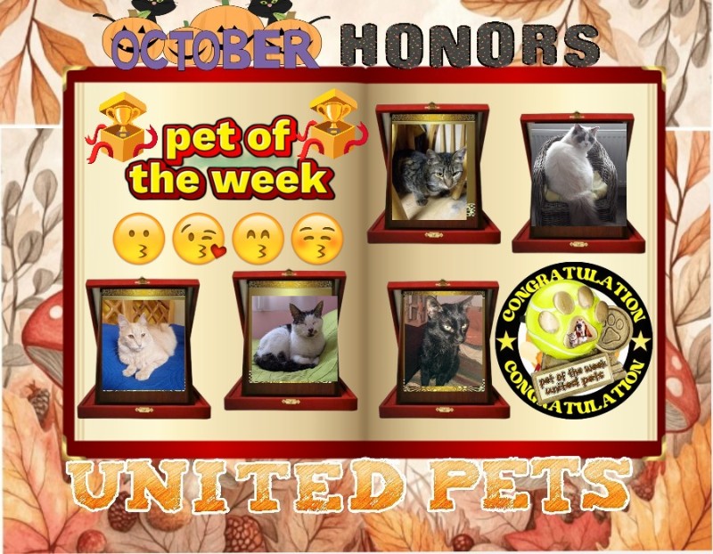 Mío of the ElianaCT family