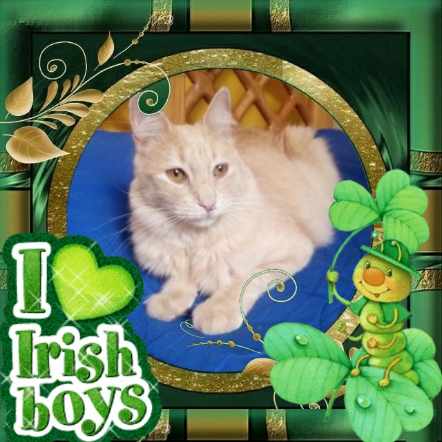 Mío of the ElianaCT family