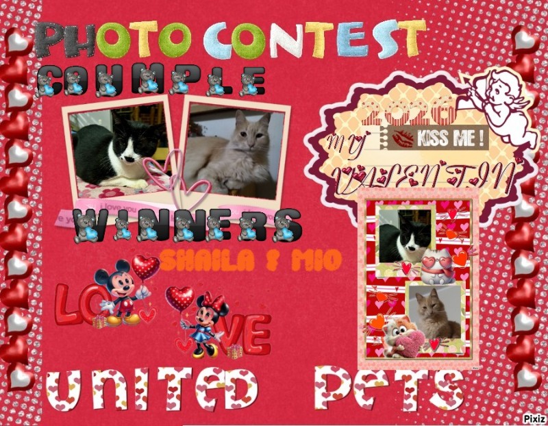 Mío of the ElianaCT family