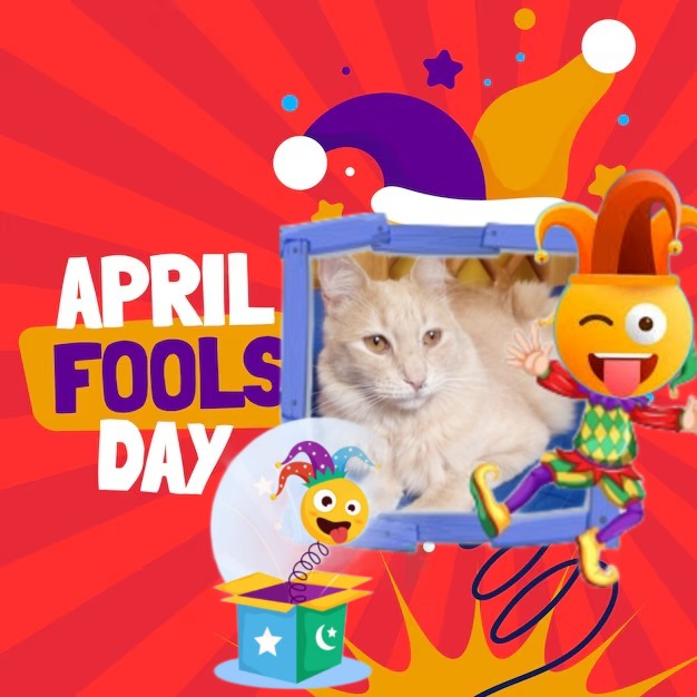 ElianaCT uploaded   12  day/s  ago