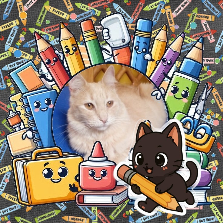 ElianaCT uploaded   257  day/s  ago