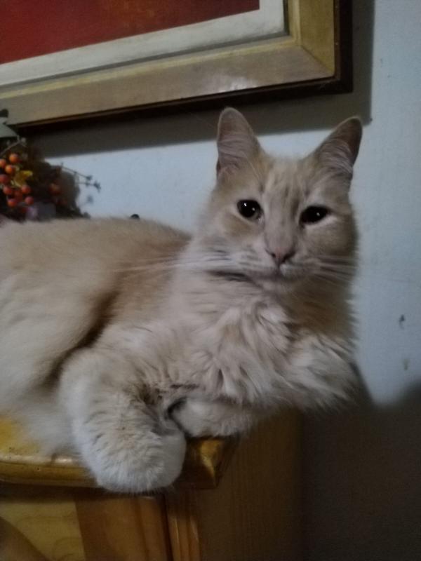 ElianaCT uploaded   191  day/s  ago