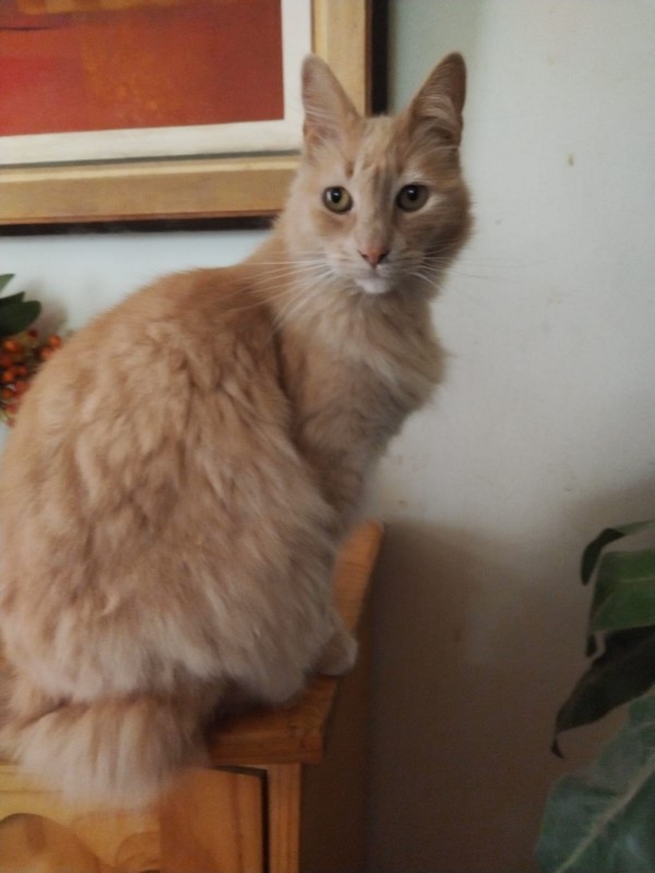 ElianaCT uploaded   191  day/s  ago