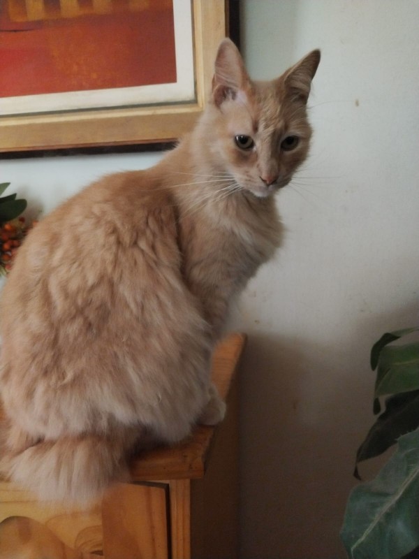 ElianaCT uploaded   191  day/s  ago