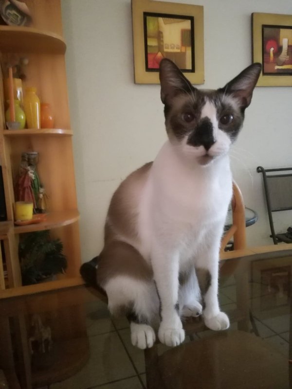 ElianaCT uploaded   5 year/s ago