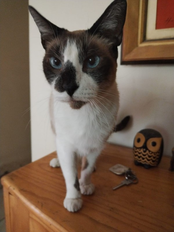 ElianaCT uploaded   194  day/s  ago