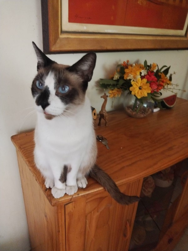 ElianaCT uploaded   194  day/s  ago