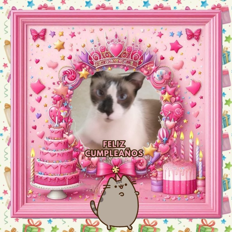 ElianaCT uploaded   1 year/s ago