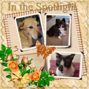 ElianaCT uploaded   344  day/s  ago