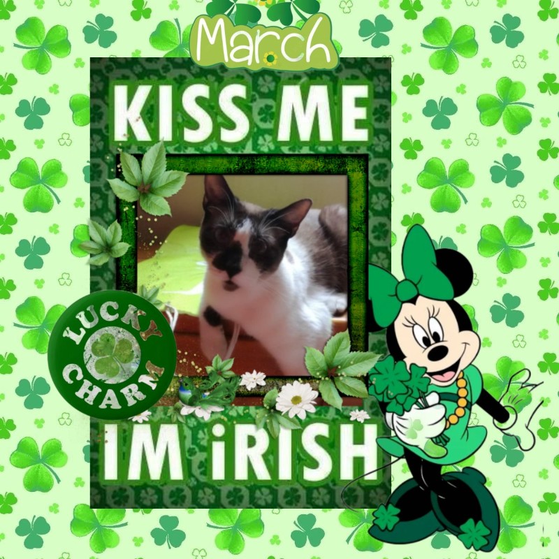 ElianaCT uploaded   45  day/s  ago