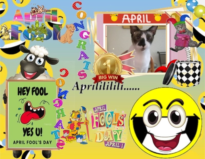 ElianaCT uploaded   8  day/s  ago