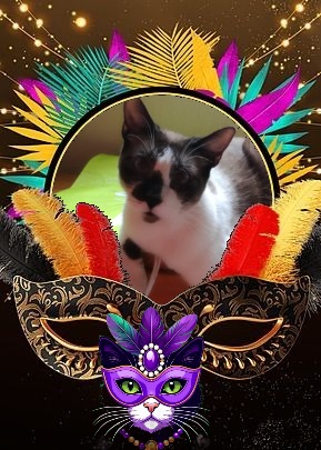 Raspadilla of the ElianaCT family