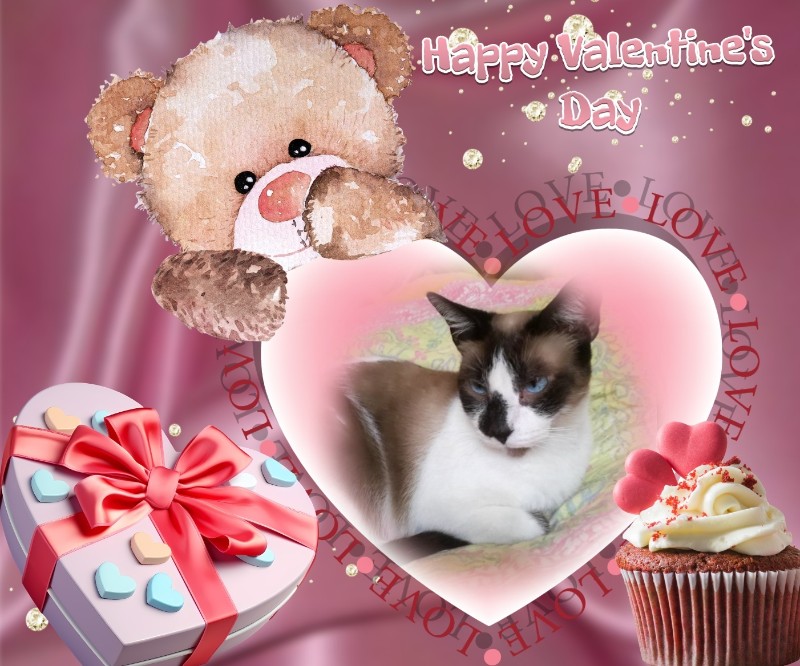 Raspadilla of the ElianaCT family