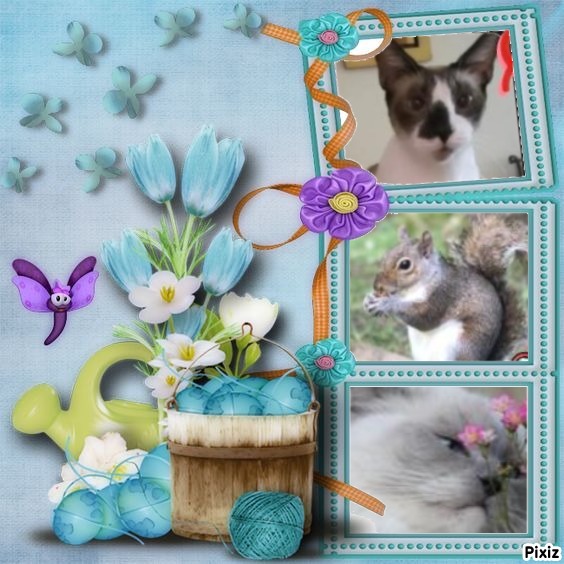 ElianaCT uploaded   330  day/s  ago