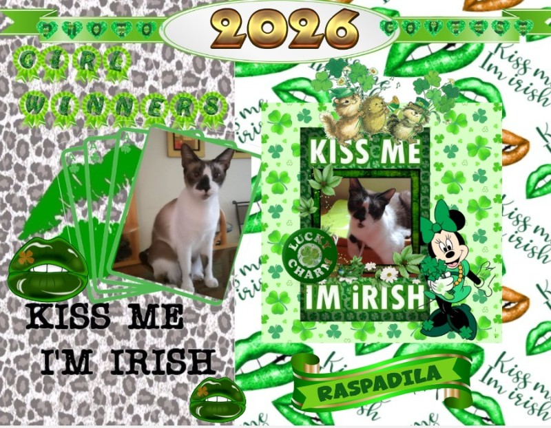 ElianaCT uploaded   30  day/s  ago