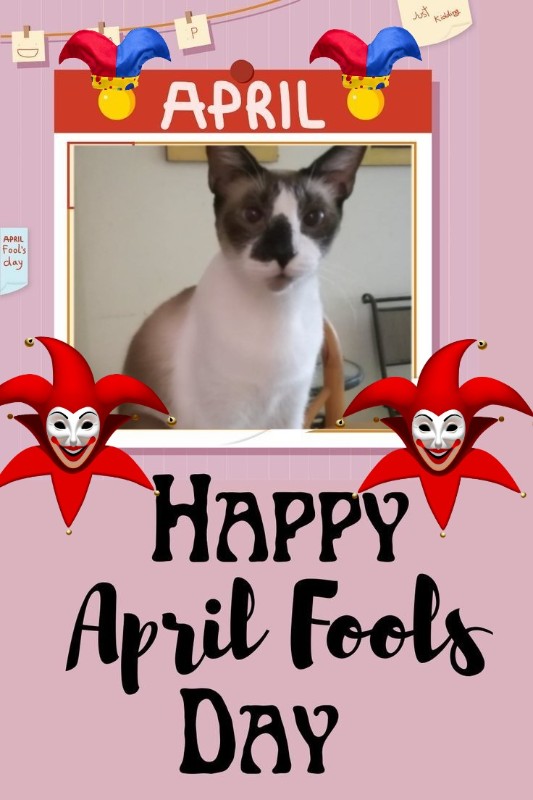 ElianaCT uploaded   12  day/s  ago