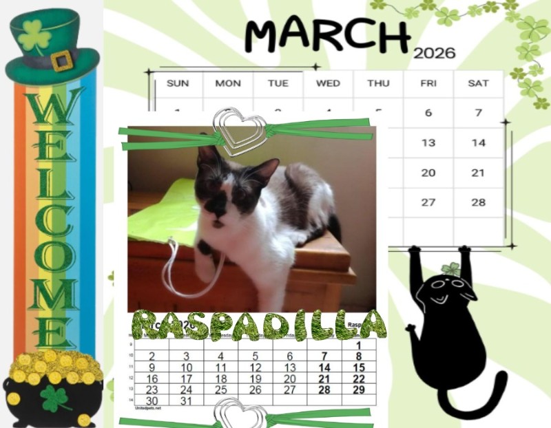 Raspadilla of the ElianaCT family