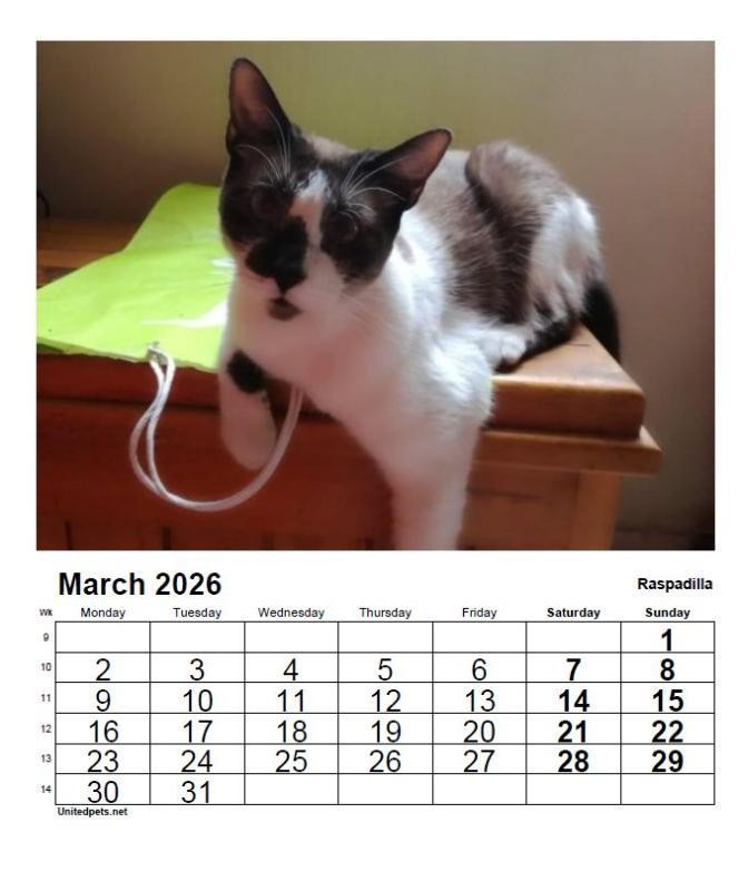 Raspadilla of the ElianaCT family