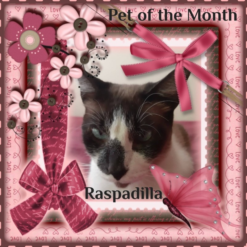 ElianaCT uploaded   10  day/s  ago