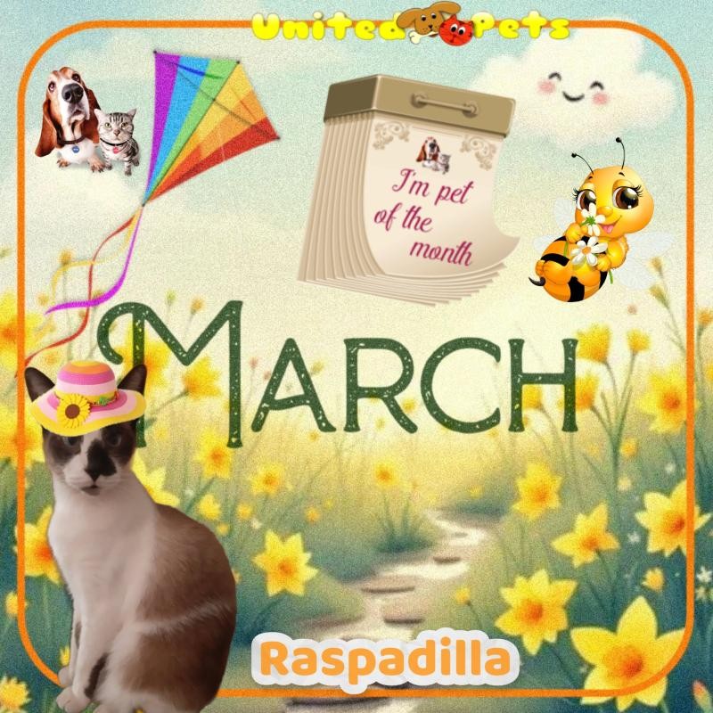 ElianaCT uploaded   45  day/s  ago