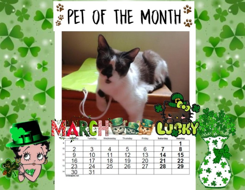 Raspadilla of the ElianaCT family