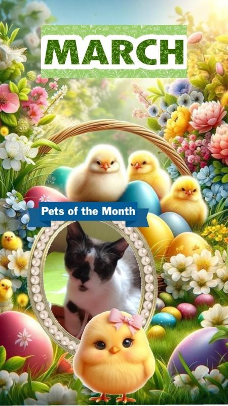 Raspadilla of the ElianaCT family