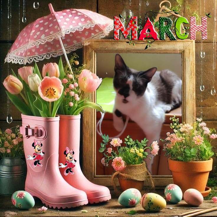 ElianaCT uploaded   14  day/s  ago