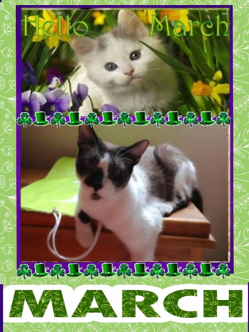 Raspadilla of the ElianaCT family